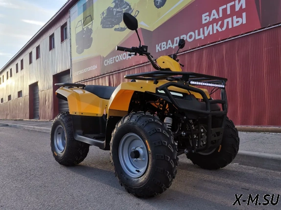 Квадроцикл IRBIS ATV 200
