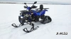 Квадроцикл PROMAX WILD 300 LUX &quot;АНТИВИБРАЦИОННЫЙ&quot;