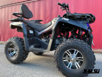 Квадроцикл PROMAX RENEGADE 300 LONG WINCH PRO