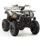 Квадроцикл PROMAX ATV 250